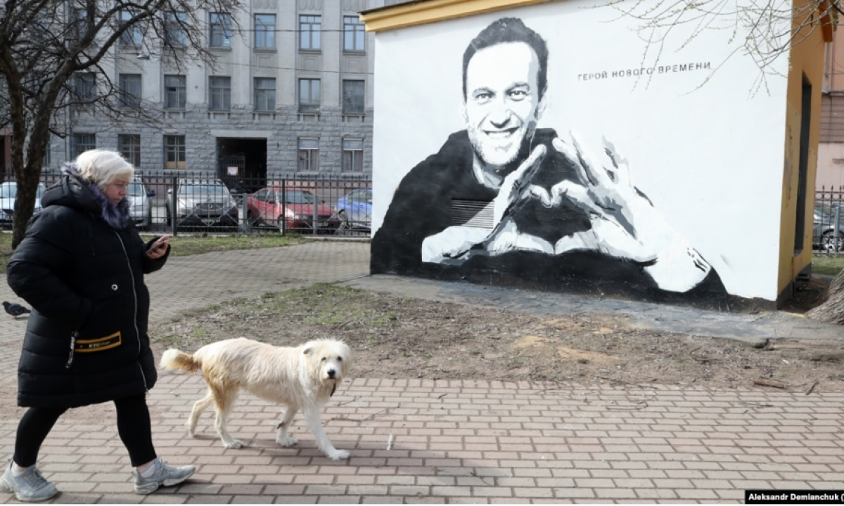 Navalny - the hero in the West is a criminal in Russia without any popular support