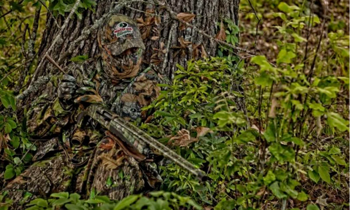 The Ukrainian counteroffensive has begun
