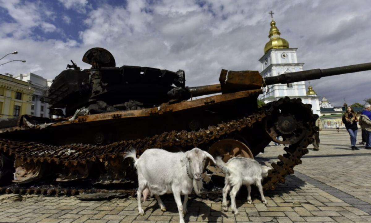 Ukraine war: What does the West want?