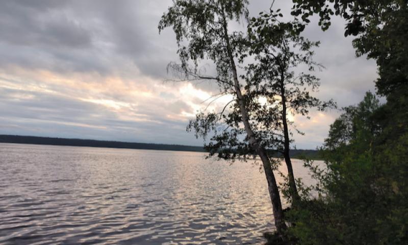 Мира не будет
