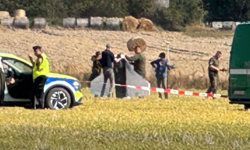 The Brown New Deal, Part III